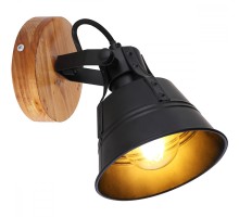 Спот G?nther 15466S-1 Globo