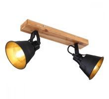 Спот G?nther 15466S-2 Globo