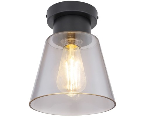 Потолочный светильник Gumba 15561D Globo