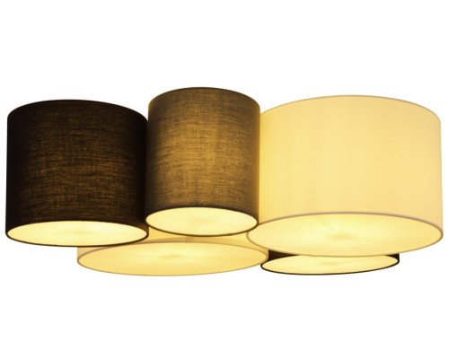 Потолочный светильник Makki 15586-5D Globo