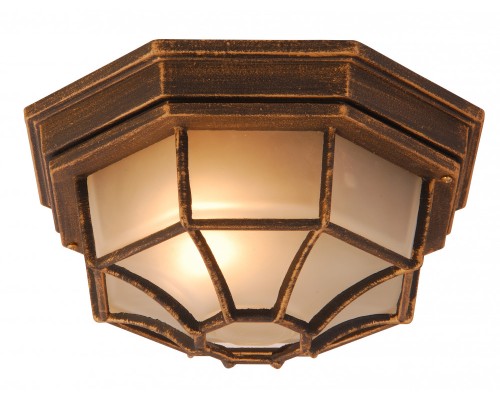 Потолочный светильник уличный Perseus 31213 Globo