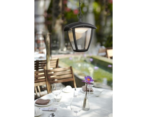 Уличный светильник подвесной Delio 31829 Globo