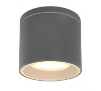 Потолочный светильник уличный Alcala 32063A Globo