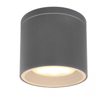 Потолочный светильник уличный Alcala 32063A Globo