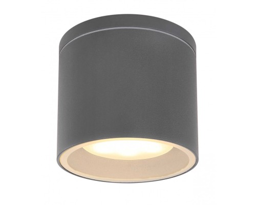 Потолочный светильник уличный Alcala 32063A Globo