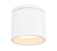 Потолочный светильник уличный Alcala 32063W Globo