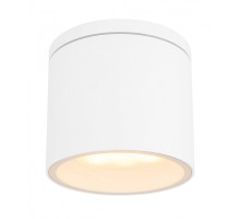 Потолочный светильник уличный Alcala 32063W Globo