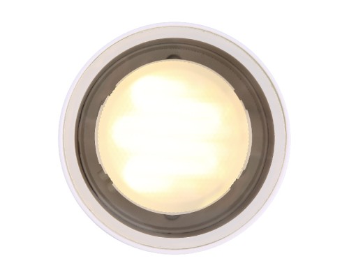 Потолочный светильник уличный Alcala 32063W Globo