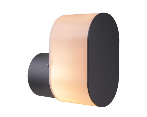 Настенный светильник уличный Salli 32101A Globo