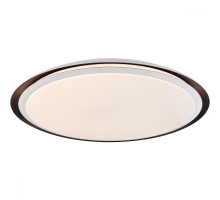 Потолочный светильник Xaver 41359-40RGBSH Globo