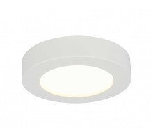 Потолочный светильник Paula 41605-20D Globo