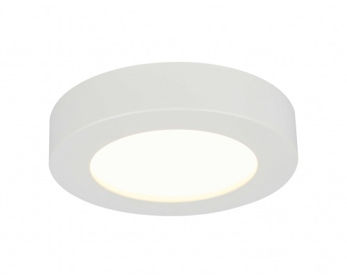 Потолочный светильник Paula 41605-20D Globo