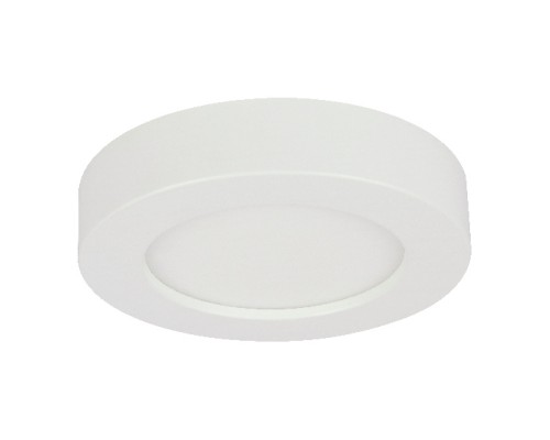 Потолочный светильник Paula 41605-20D Globo