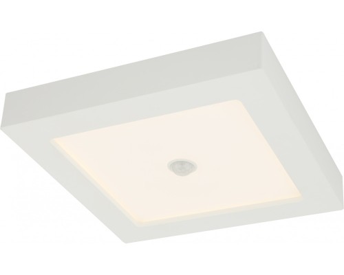 Потолочный светильник Svenja 41606-18S Globo