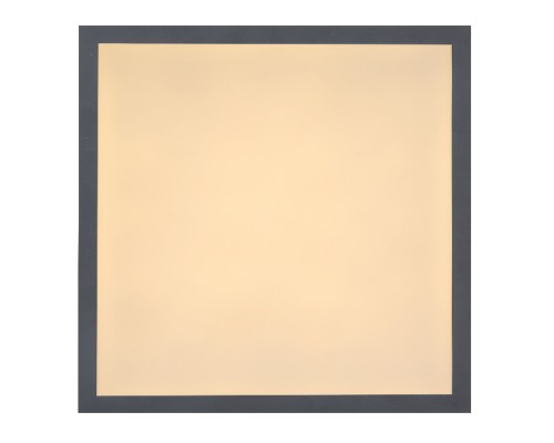 Потолочный светильник Doro 416080D1 Globo