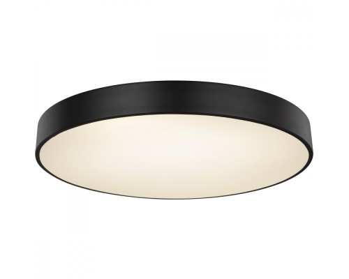 Потолочный светильник Wiss 41744-48S Globo