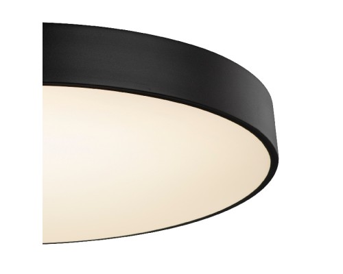 Потолочный светильник Wiss 41744-48S Globo