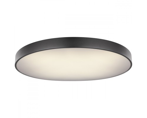 Потолочный светильник Wiss 41744-60S Globo