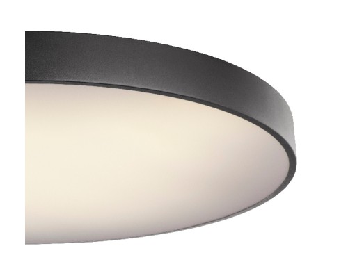 Потолочный светильник Wiss 41744-60S Globo