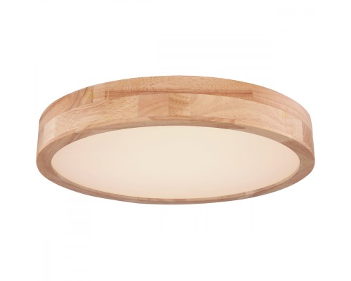 Потолочный светильник Rainer 41745-24 Globo