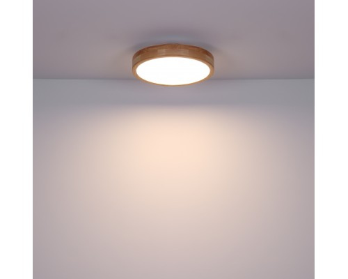 Потолочный светильник Rainer 41745-24 Globo