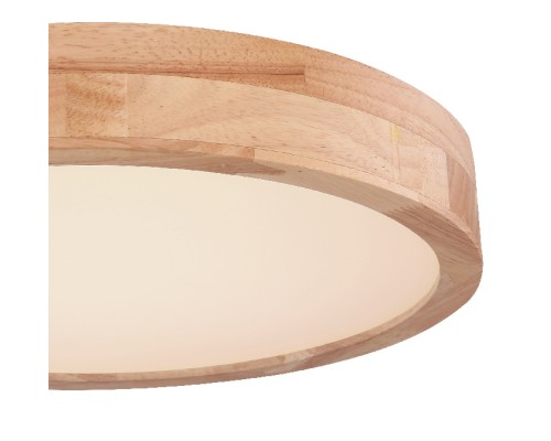 Потолочный светильник Rainer 41745-24 Globo