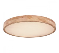 Потолочный светильник Rainer 41745-48 Globo