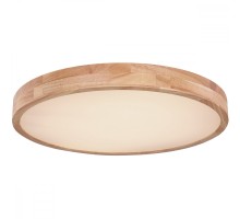 Потолочный светильник Rainer 41745-48 Globo