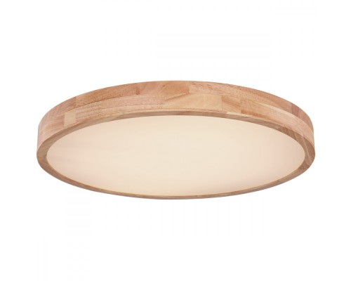 Потолочный светильник Rainer 41745-48 Globo