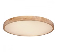 Потолочный светильник Rainer 41745-60 Globo