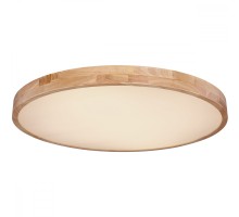 Потолочный светильник Rainer 41745-60 Globo