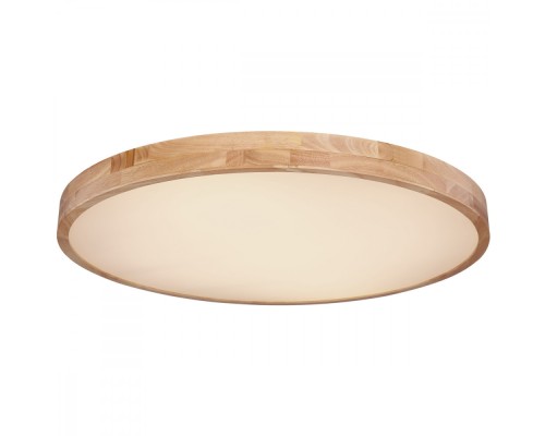 Потолочный светильник Rainer 41745-60 Globo