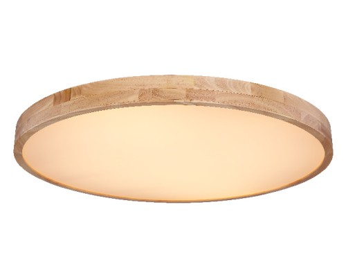 Потолочный светильник Rainer 41745-60 Globo