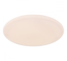 Потолочный светильник Rena 48383-50RGBSH Globo