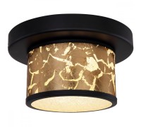 Потолочная люстра Potti 49367-12D Globo