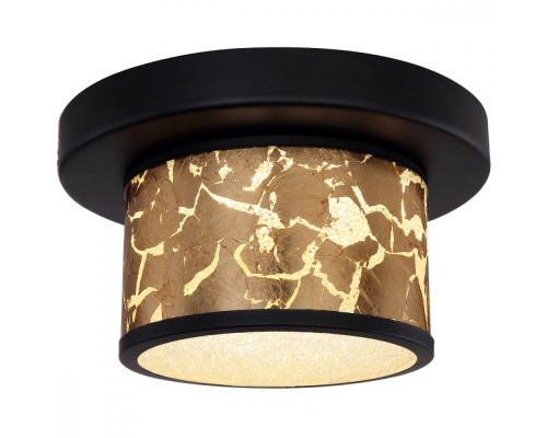 Потолочная люстра Potti 49367-12D Globo