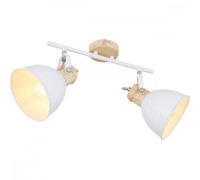 Спот Wiho 54018-2 Globo