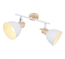 Спот Wiho 54018-2 Globo