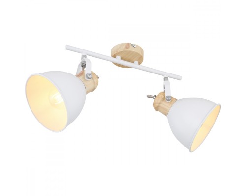 Спот Wiho 54018-2 Globo