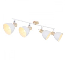 Спот Wiho 54018-4 Globo