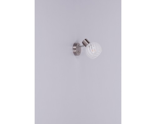 Спот Willy 54025-1 Globo