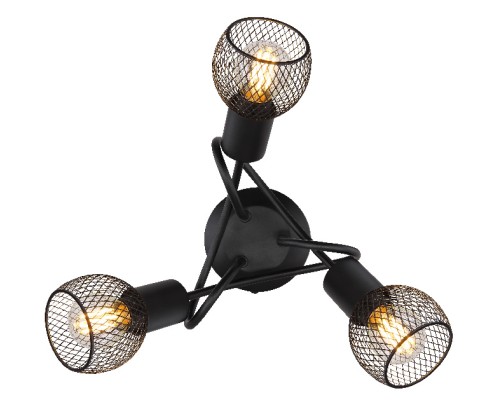 Потолочная люстра Fiastra 54028-3S Globo