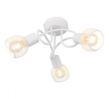 Потолочная люстра Fiastra 54028-3W Globo