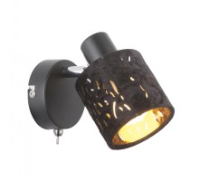 Спот Troy 54121-1 Globo