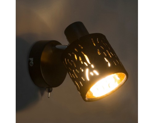 Спот Troy 54121-1 Globo