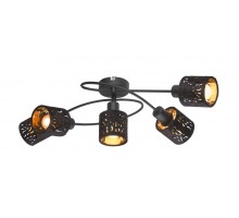 Потолочная люстра Troy 54121-5 Globo