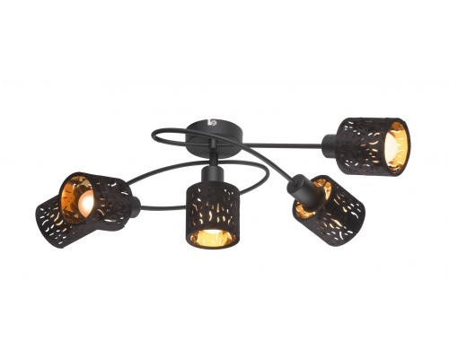 Потолочная люстра Troy 54121-5 Globo