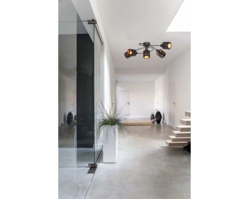 Потолочная люстра Troy 54121-5 Globo