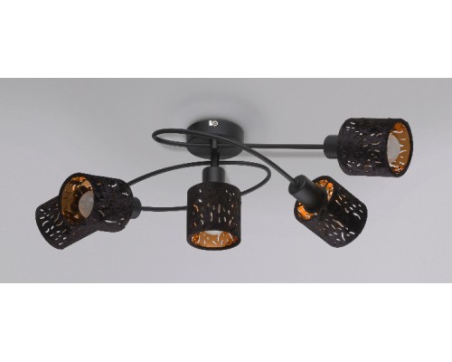 Потолочная люстра Troy 54121-5 Globo