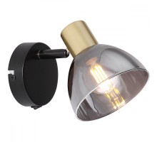 Спот Jay 54305-1 Globo